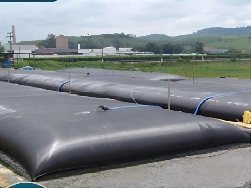 GeoTubes